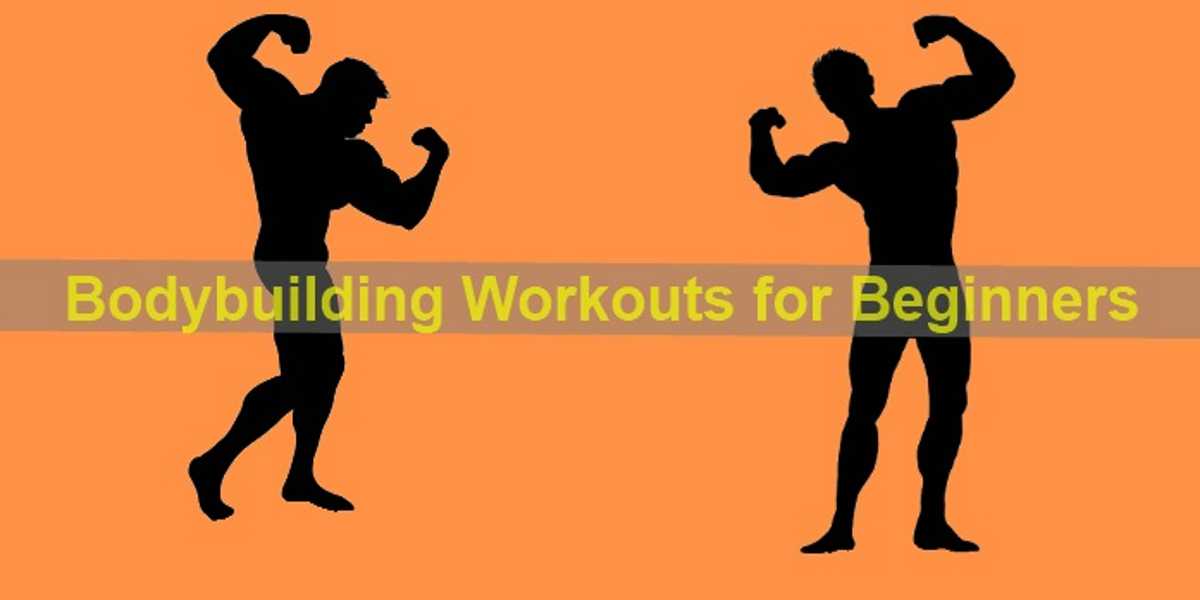 Bodybuilding Workouts for Beginners