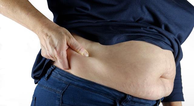 Causes Of Belly Fat