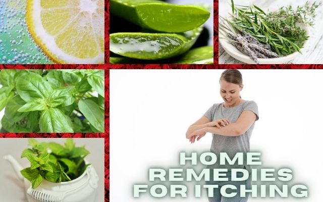 Home Remedies for Itching